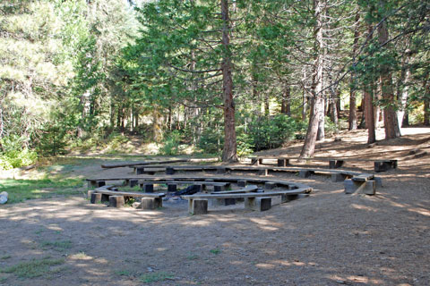 Methuselah Group Campground, Mountain Home Demonstration State Forest, CA