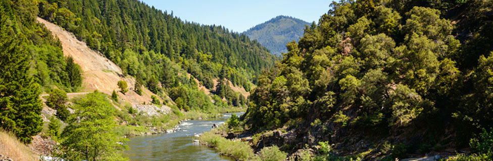 fishing in a river