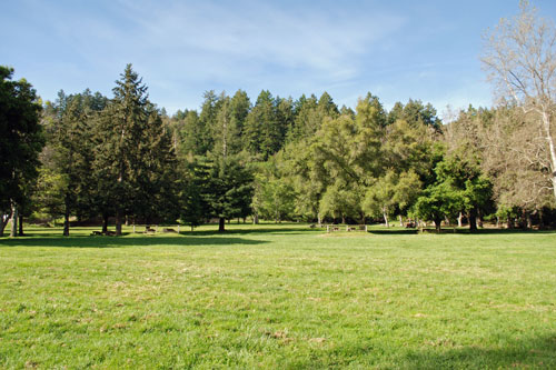Sanborn Park, Central California campgrounds