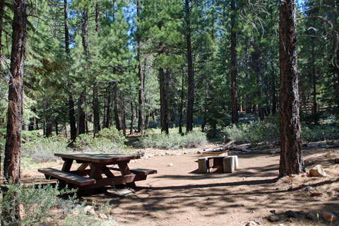 Cottonwood Campground, Highway 89,  Tahoe National Forest