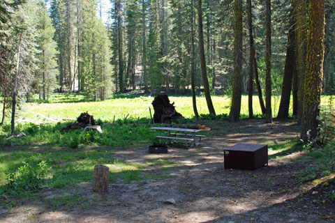 Crane Flat Campground, Yosemite National Park
