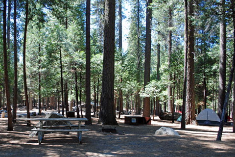 Hodgdon Meadow Campground, Yosemite National Park