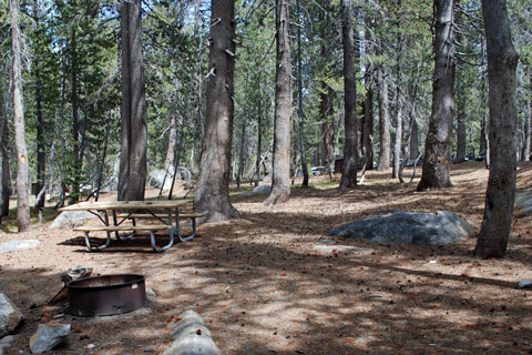 White Wolf Campground, Yosemite National Park