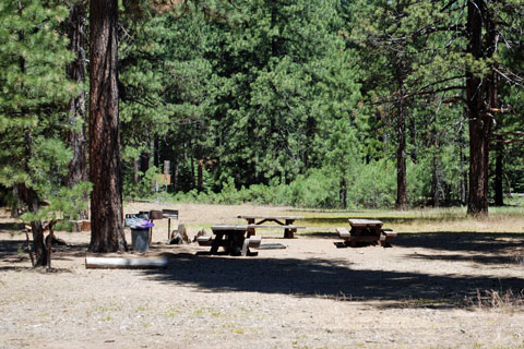 Almanor Group Campground, Lake Almanor, CA