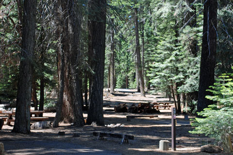 Almanor North Campground, Lake Almanor, CA