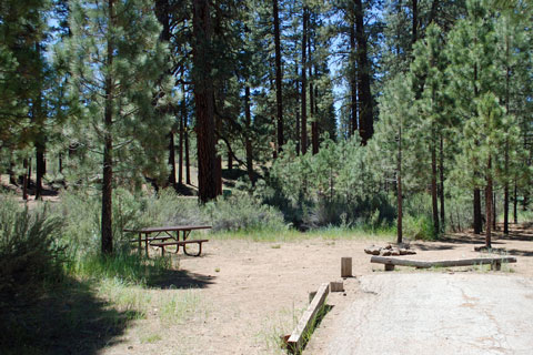 Hat Creek Campground, Lassen National Forest