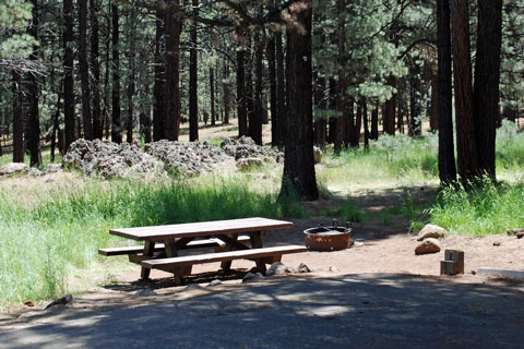 Cottonwood Springs Campground, Frenchman Lake, Plumas National Forest