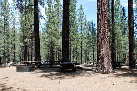 Cottonwood Springs Group Campground, Frenchman Lake, Plumas National Forest