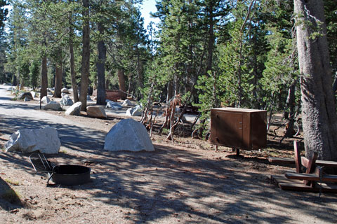 Middle Creek Expansion Campground near Blue Lakes, Humboldt-Toiyabe National Forest, CA