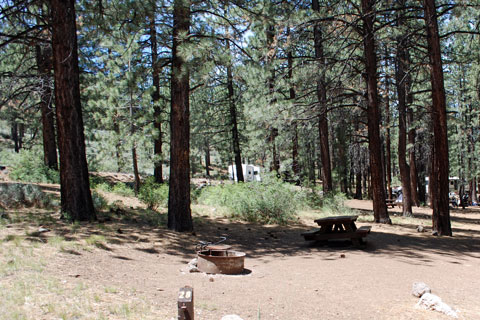 Spring Creek Campground, Frenchman Lake, Plumas National Forest