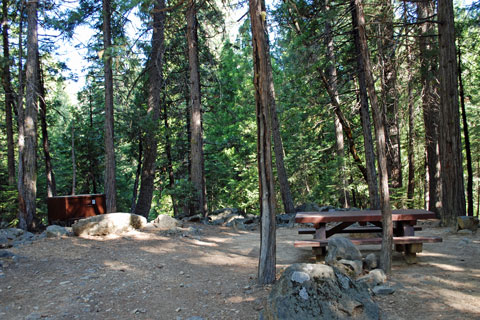 Wild Pumb  Campground, Tahoe National Forest