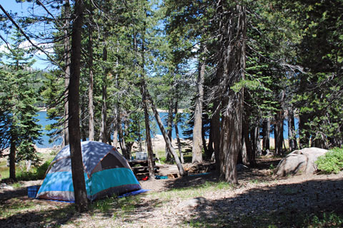 Campsite at Lower Blue Lake, Humboldt-toiyabe National Forest, CA