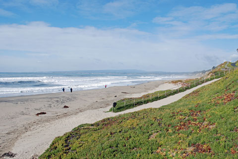 Manresa State Beach, CA