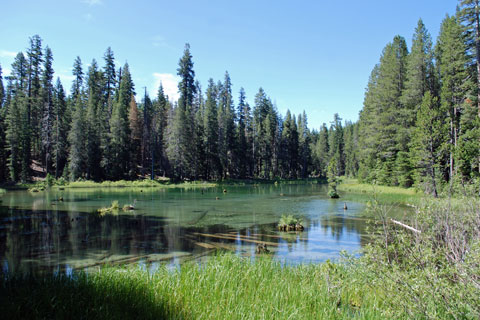 Pond at Silver Lake Campground, Eldorado National Forest, CA
