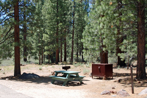 Turtle Rock Park Campground, Alpine County, CA