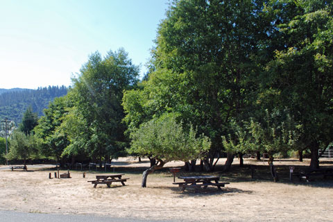 Cuneo Creek Horse Camp, Humboldt Redwoods State Park, CA