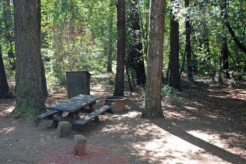 Hickey Campground, Standish-Hickey State Recreation Area, CA