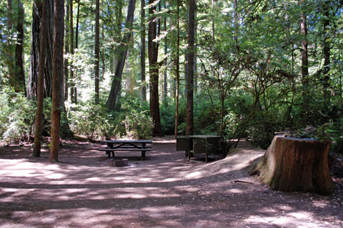 Jedediah Smith State Park campsite