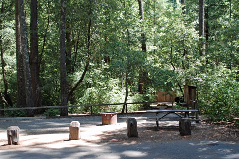 Madroine Campground, Richardson Grove State Park, CA