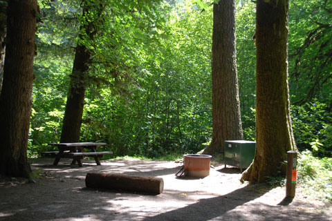 Mill Creek Campground, Del Norte Coast Redwoods State Park, CA