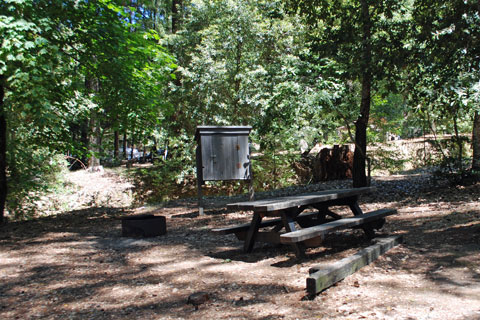 Oak Flat Campground, Richardson Grove State Park, CA