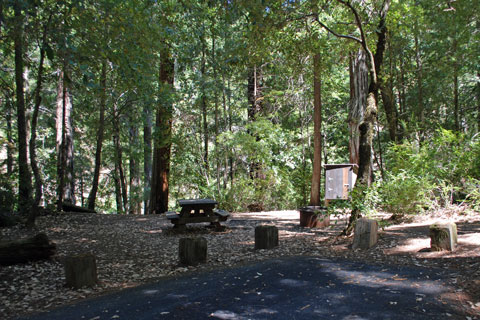 Redwood Campground, Standish-Hickey State Recreation Area, CA