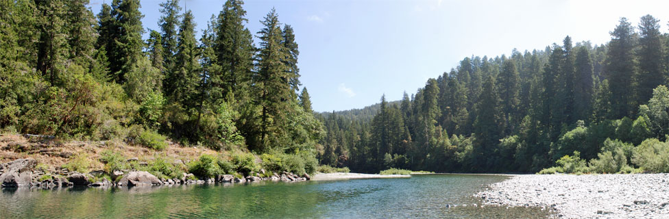 Jedediah Smith Redwoods State Park, California