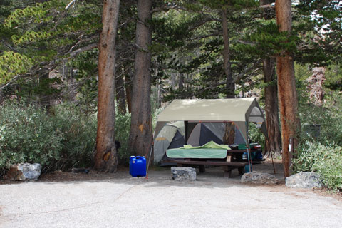 Ellery Lake Campground, Inyo National Forest, CA