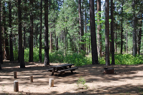 Greenville Campground, Plumas National Forest