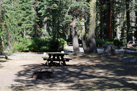 Haskins Valley Campground, Bucks Lake, Plumas National Forest