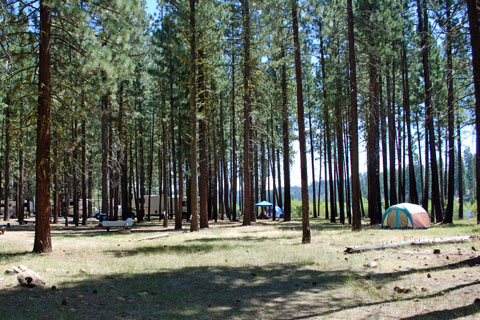 Lone Rock Campground, Antelope Lake, Plumas National Forest