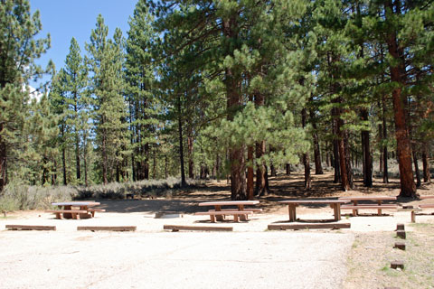 Long Point Group Campground, Antelope Lake, Plumas National Forest
