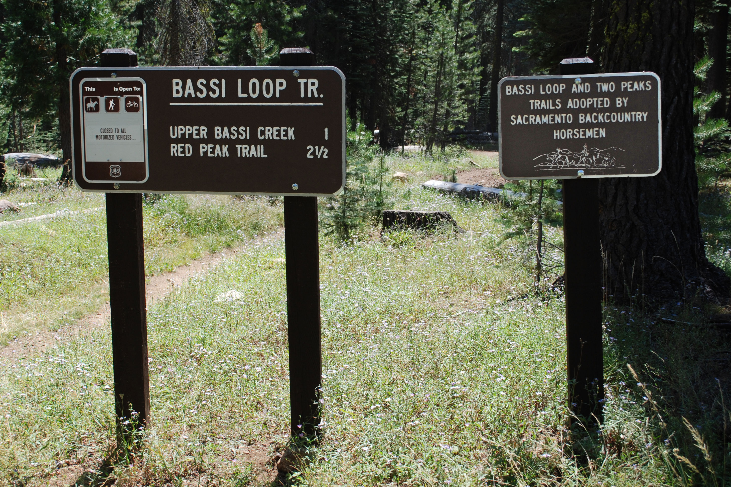 Trail sign for Bassi Loop,  Eldorado National Forest, CA