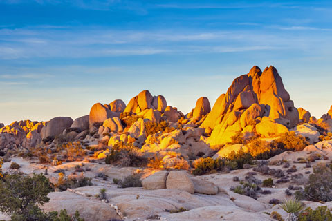 Joshua Tree National Park