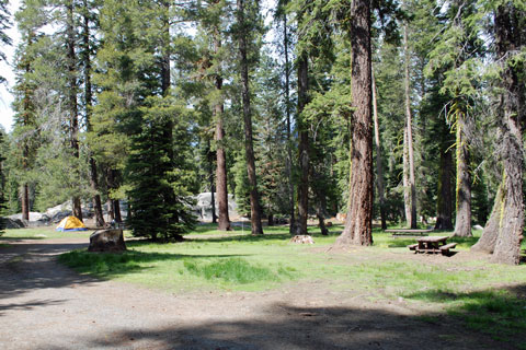 Niagara Creek Campground, Stanislaus National Forest, CA