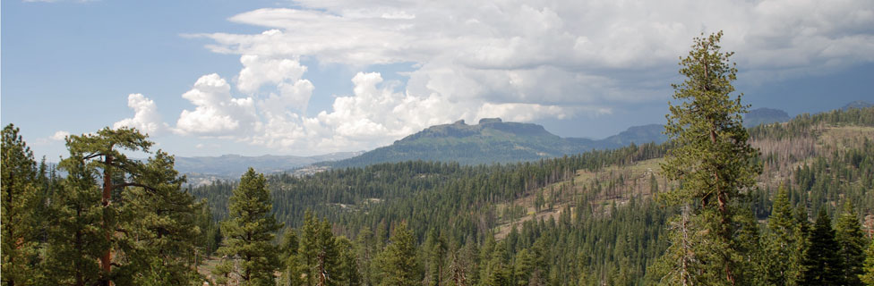 Stanislaus National Forest, California