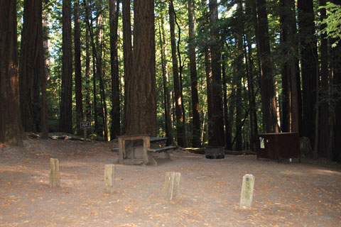 Ben Reis Campground in Butano State Park, CA