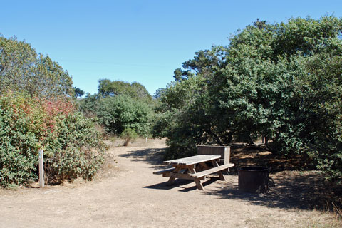 Manresa State Beach Campground, CA