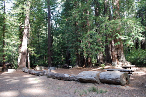 Memorial Park Group Campground, San Mateo County, CA