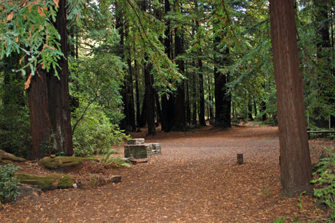 Memorial Park campground, San Mateo County, CA