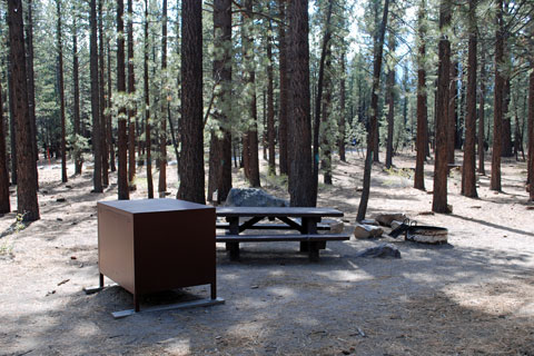 Old Shady Rest Campground, Mammoth Lakes, CA