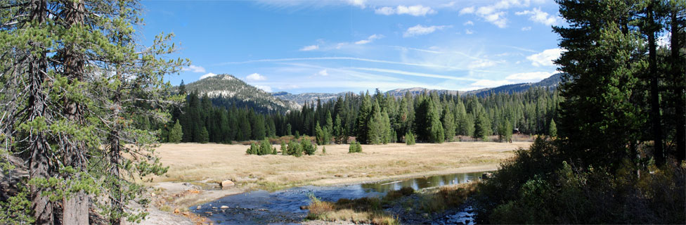 Devils Poatpile Meadow, Inyo National Forest, CA