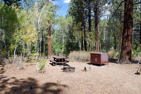 Sherwin Creek Campground,  Mammoth Lakes, CA