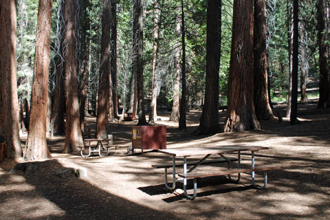 Atwell Mill Campground, Mineral King, Sequoia National Park