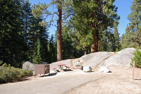 Azalea Campground, Grant Grove, Kings Canyon National Park