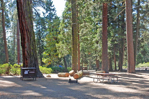 Azalea Campground, Grant Grove, Kings Canyon National Park