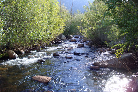 Bishop Creek,  Inyo National Forest, CA