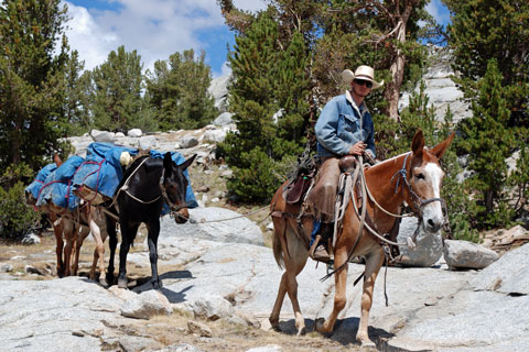 Bishop Pack Outfitters,  Inyo National Forest, CA