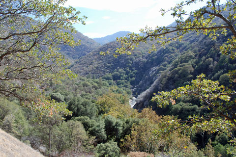 Buckeye Flat Campground area, Middle Fork Kaweah River, Sequoia National Park