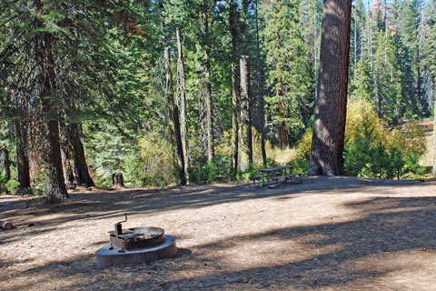 Crystal Springs Campground, Grant Grove, Kings Canyon National Park